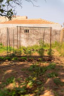 Casa Pitoresca - Refugio Esposende - 2