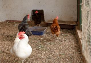 Location La Londe - 7