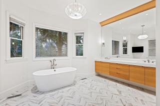 PP600: 600 Piping Plover - 3