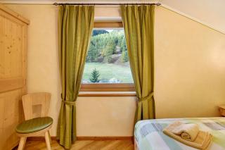 Baita Aris Appartamento Palipert - 9