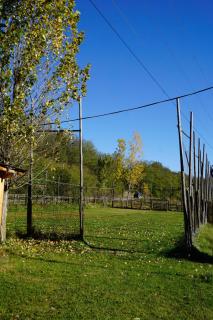 Pensiunea Serenitas - 5