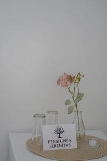 Pensiunea Serenitas - Sebeşel - 7