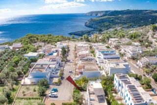 L'ulivo di Novaglie - 9