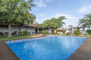 Finca Los Caleros - Algorfa - 8