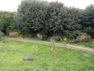 Charme Émeraude - 7