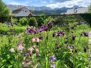 Le Jardin d'Apolline - 7