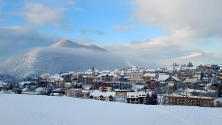 Le Jardin d'Apolline - 3