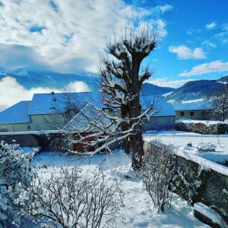 Le Jardin d'Apolline - 1