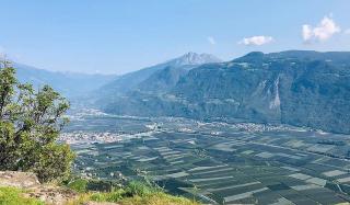 Sunnig Apartment Sonnenschein - Vollan - 8