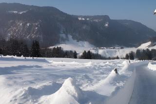 Gästehaus Vogler Oberstdorf-Kornau - 7