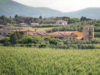 Delicious House Michelangelo - 9