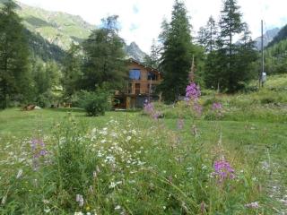 Gite T3 Le Balarino - Mercantour 1 - 9