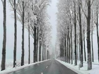 Seezauber direkt am Wasser - Reichenau - 8