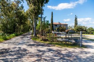 Vento di Maremma - 1