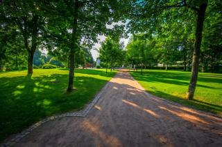 Gästehaus Schwörer - 7