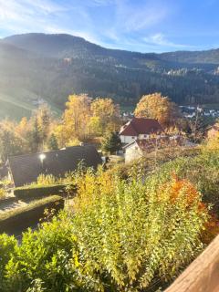 Hotel Schauinsland - 3