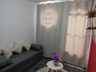 Casa Aconchegante em Miguel Pereira - 4