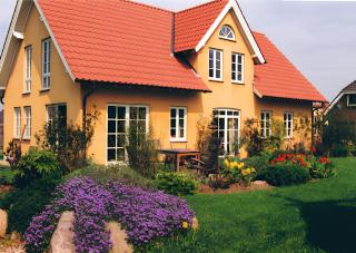 Friesenhaus an der Schlei - 9