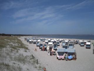 Fewo 32 - Halbinsel Darss - Ostsee - 8