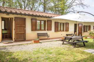 Faetino - Pavone - 6