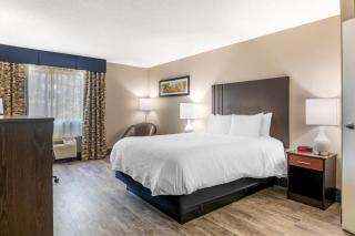 Black Bear Inn, an Ascend Collection Hotel - 4