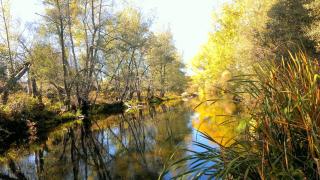 El rincón de Gredos - Navaluenga - 5