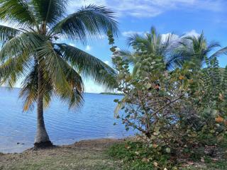 Charmant Bungalow Petit-Canal Le Moule Piscine Terrasse Jardin - 3