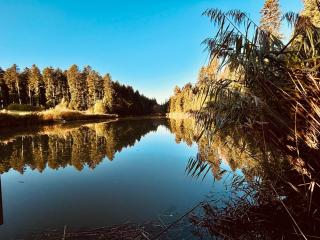 Schorsch's Ferienhaus - 9