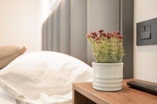 Atw Suites Canteras - 9