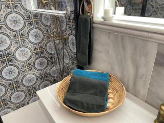 Jema bajondillo junto a la playa - 9