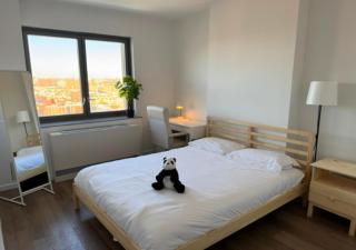 Newly Reno 1BR! Murray Hill! - 5