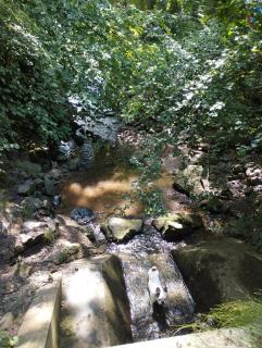 Wohnung mit 3 Schlafzimmern - 7