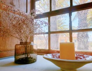 Casa Canaria Finca Real - 8