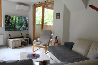 Forest View Apartment - Hočko Pohorje - 9