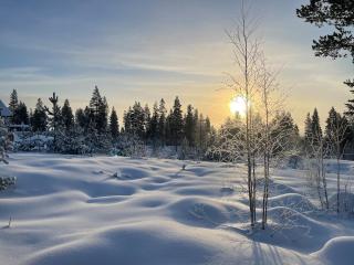 Cozy year-round cabin with sauna at Furutangen - 4