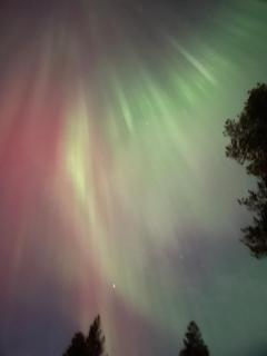 Cozy year-round cabin with sauna at Furutangen - 2