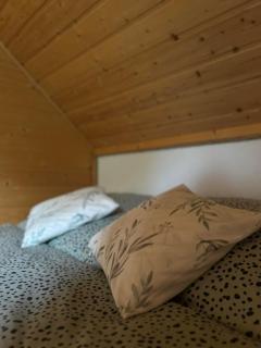 Bieszczady Żubrowe Wzgórze 785-049-543 - 3