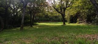 Les Lilas des Chênes - Piolenc - 5