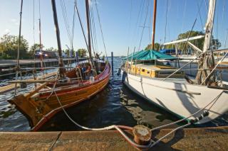 Apartment am Stettiner Haff - 7