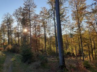 Haus Traumblick und Alpenzauber - 8