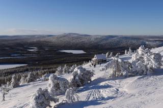 Levin Puolikuu 5 - Ski-in Ski-out - 3