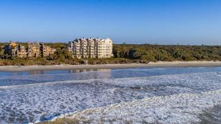 WS5123: 5123 Windswept - 7