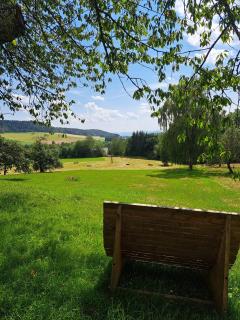 Schwarzwald Apartment - Albbruck - 6