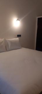 Lavanda Termas de São Pedro do Sul - 6