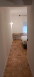 Lavanda Termas de São Pedro do Sul - 1