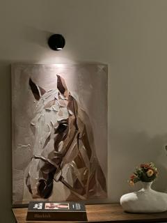 استديوهات أُنس - 5