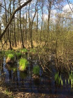 Ferienwohnungen Natur Und Kultur - 9