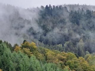 Ferienwohnung Leibgeding - 1