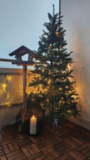 Vakantiehuisje Winterberg - 7