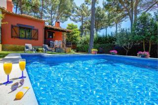 Níspero by Vintage Travel - 0